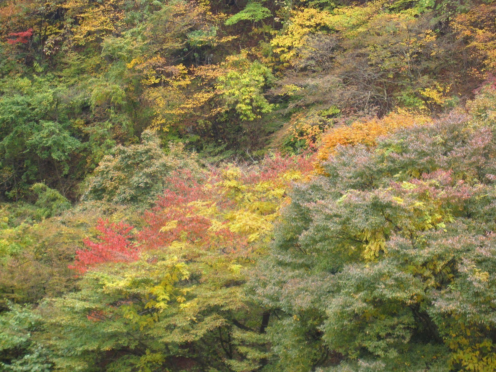 Koduchi No Yado Tsurukamedaikichi Hotel Nikkō Luaran gambar