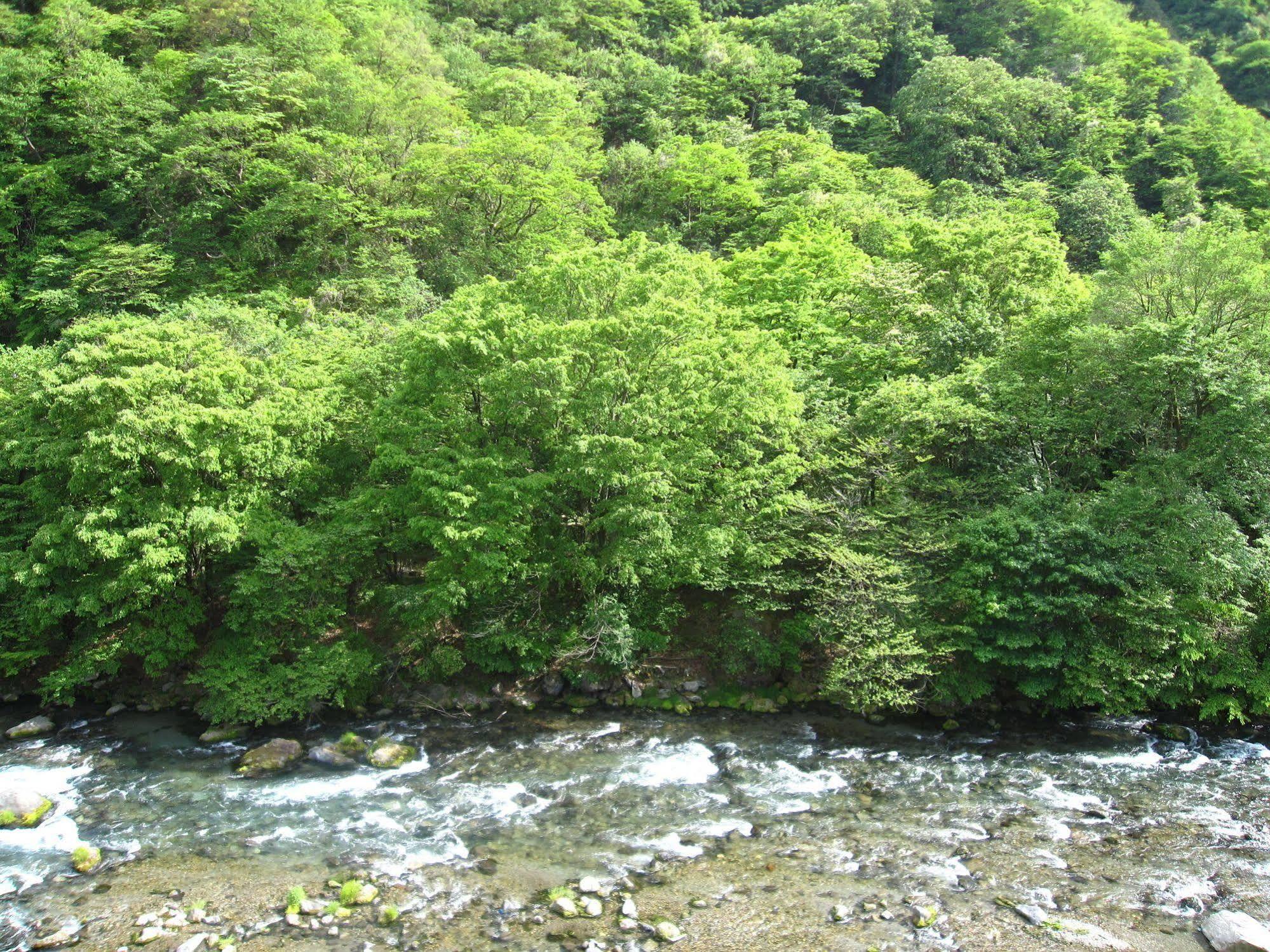 Koduchi No Yado Tsurukamedaikichi Hotel Nikkō Luaran gambar